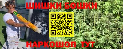 индика Конаково