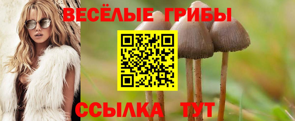 Галлюциногенные грибы Psilocybe  Вход с VPN  магазин    Галлюциногенные грибы GOLDEN TEACHER  Котельники 